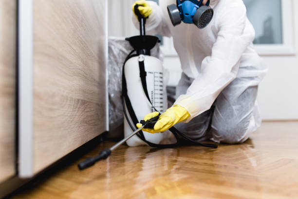 Trusted Brownsville, FL Pest Control Experts