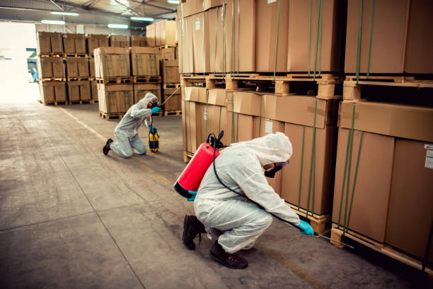 Best Best Pest Control Near Me  in Brownsville, FL