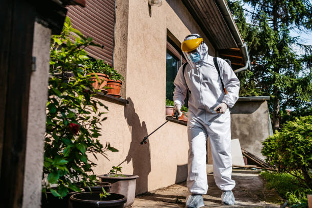 Best Wildlife Control Services  in Brownsville, FL