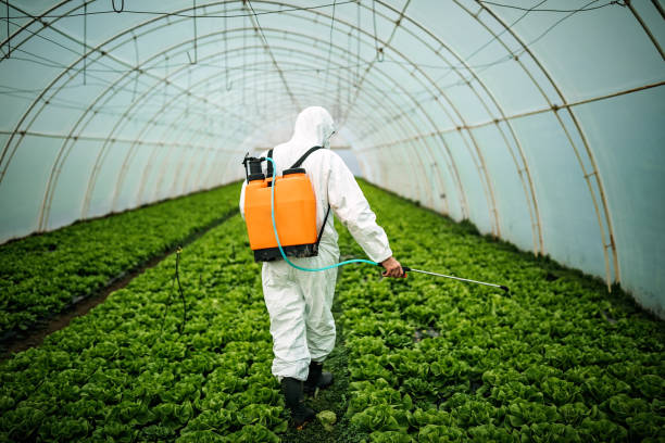 Best Pest Control Near Me in Brownsville, FL