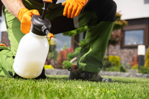 Pest Prevention Services in Brownsville, FL