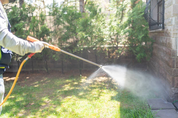 Best Wasp Removal Services  in Brownsville, FL