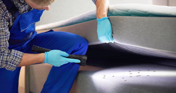 Best Rat Extermination Near Me  in Brownsville, FL