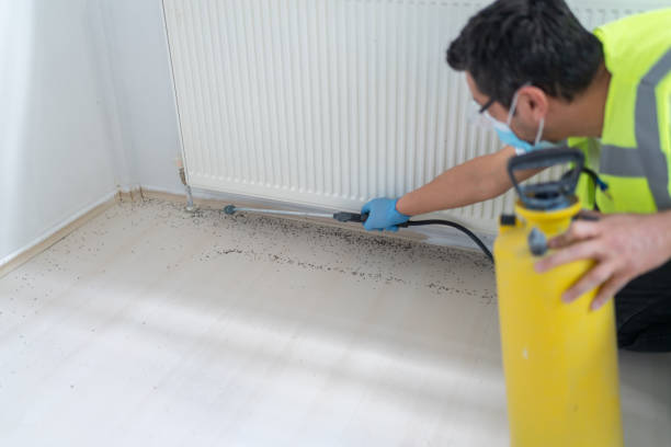 Best Pest Inspection Near Me  in Brownsville, FL